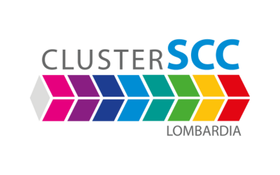 CLUSTER SCC